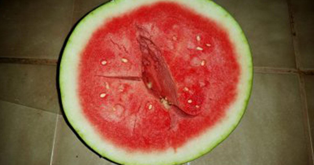 علامات في البطيخ يجب الحذر منها لتفادي خطر التسمم الغذائي