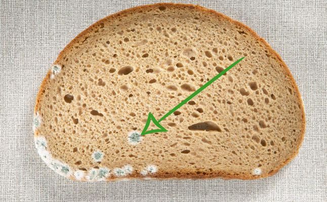 إزالة الأجزاء المتعفنة من الخبز عادة مضرة