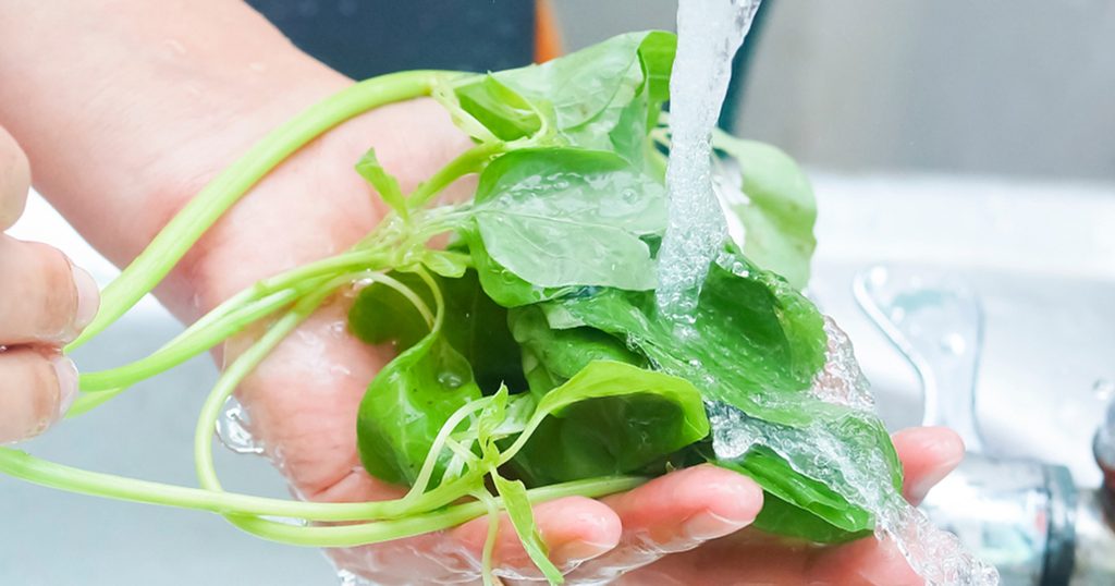 أمّي علّمتني: طريقة غسل الخضار الورقية للسلطة