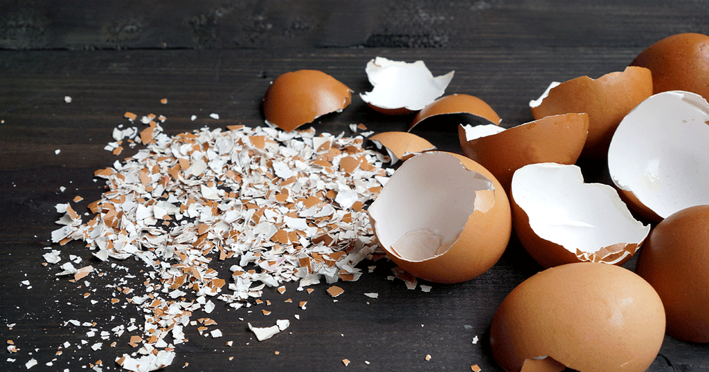 قشور البيض المفيدة للصحة
