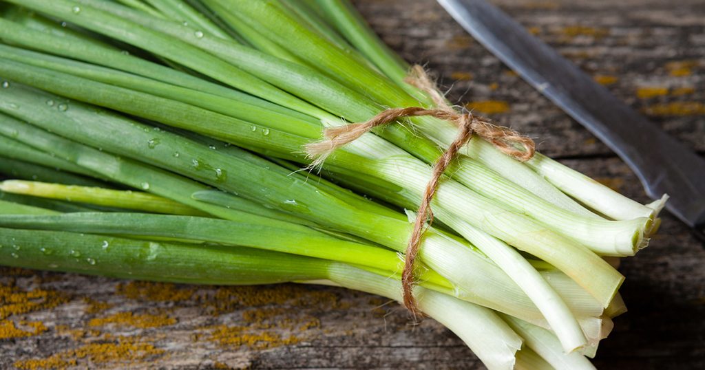 فوائد البصل الأخضر الصحية للجسم