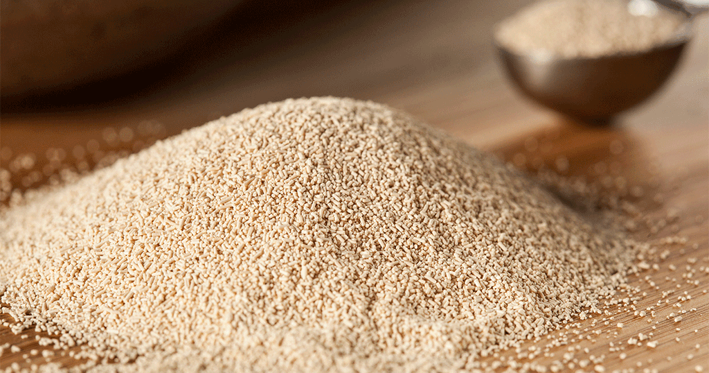 نوع من أنواع الخميرة