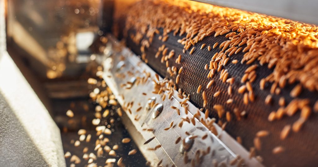 ما هو الفرق بين حب الجريش وحب الهريس؟