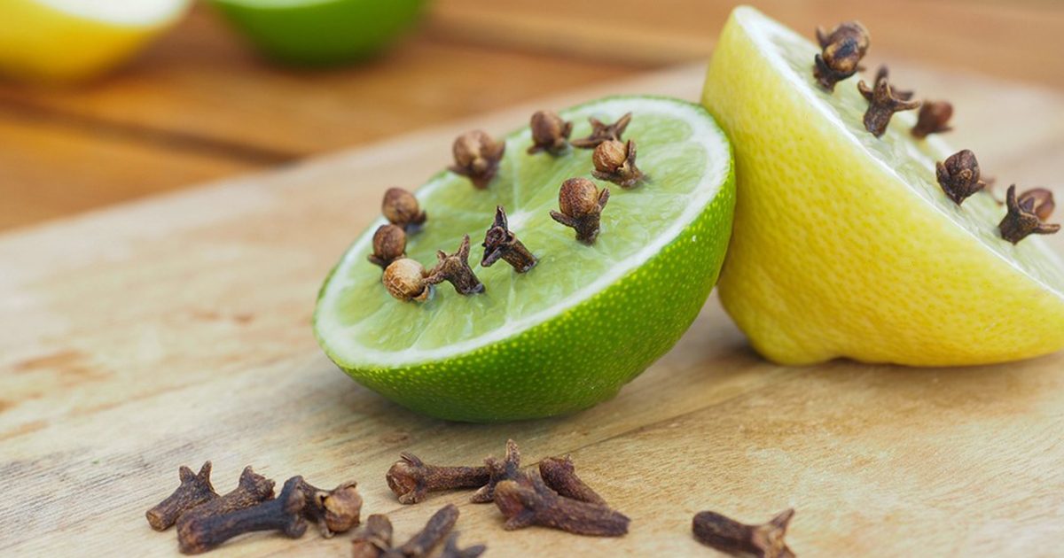 فوائد القرنفل مع الليمون | أطيب طبخة