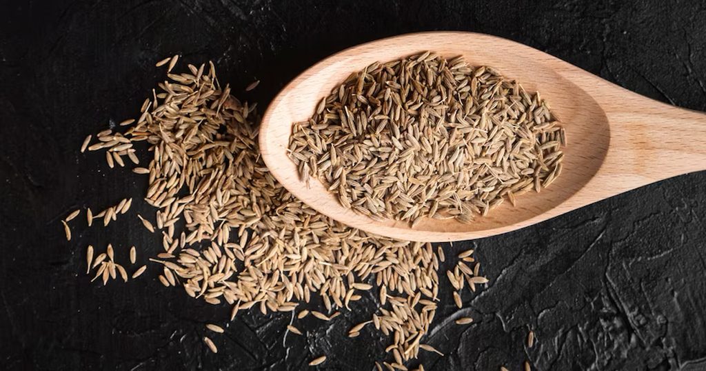 مصدر الصورة: حساب موقع https://www.freepik.com/