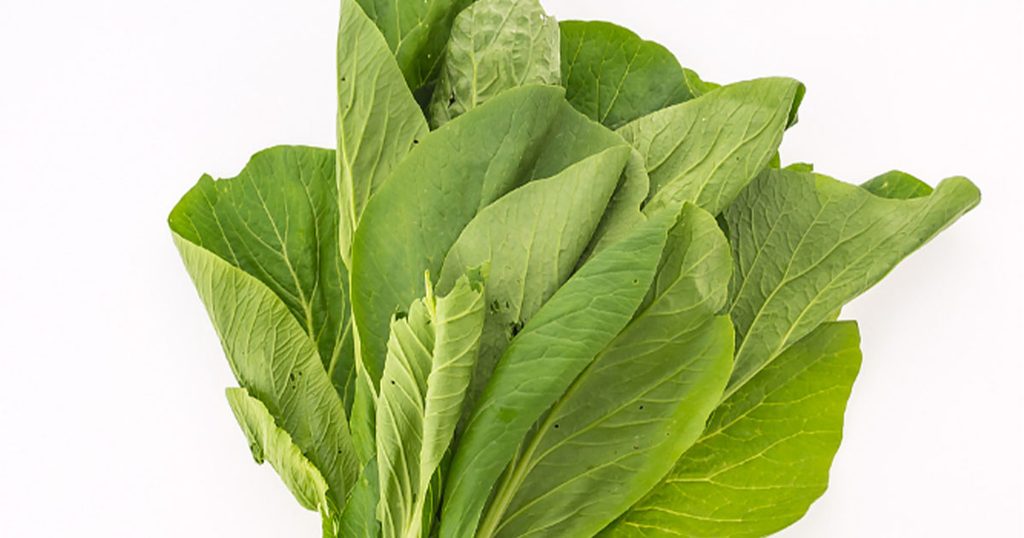 فوائد الجرجير للشعر