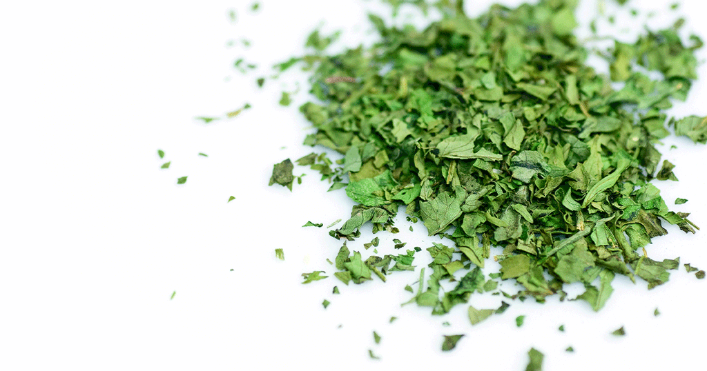 كزبرة ناشفة