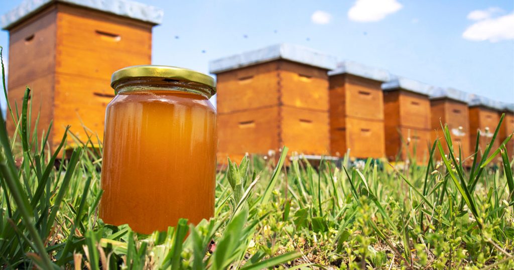 العسل البلدي