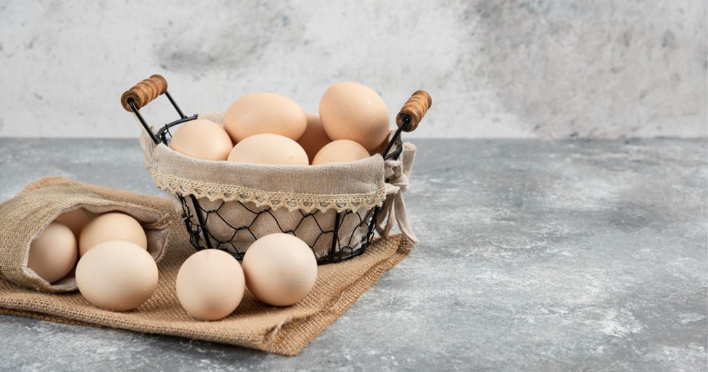 مصدر للبروتين