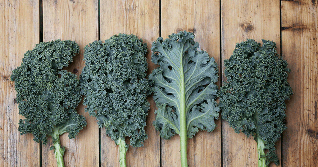 أشكال مختلفة من الكيل