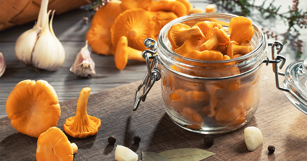 الشانتيريل