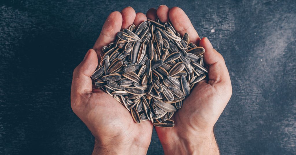 حبوب دوار الشمس