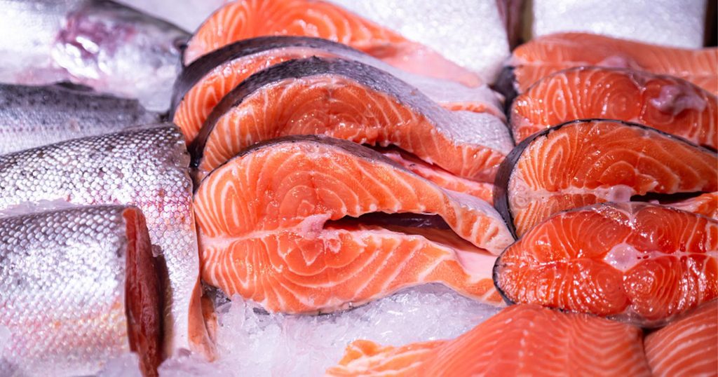 سمك السلمون