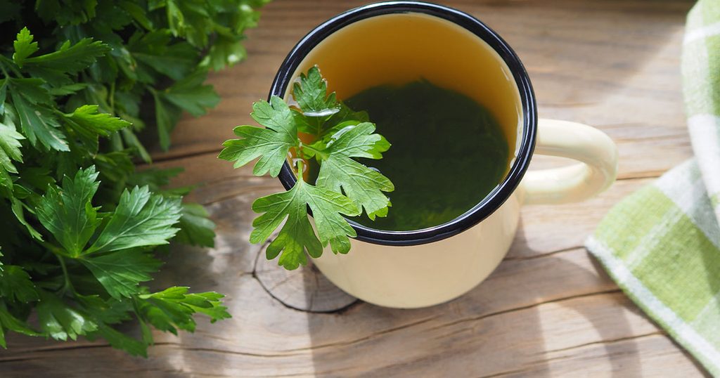 مغلي البقدونس