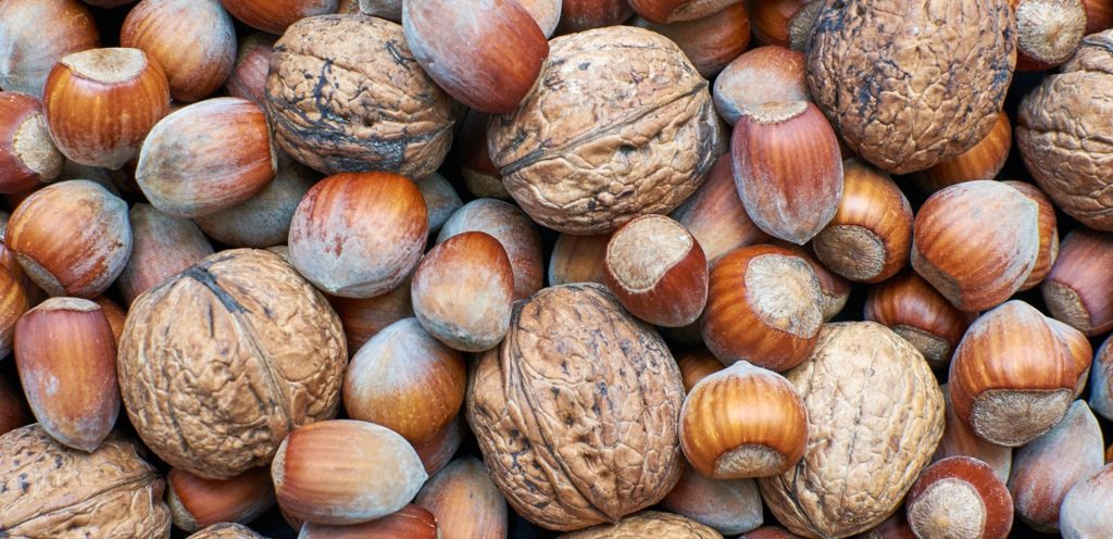 البندق والجوز