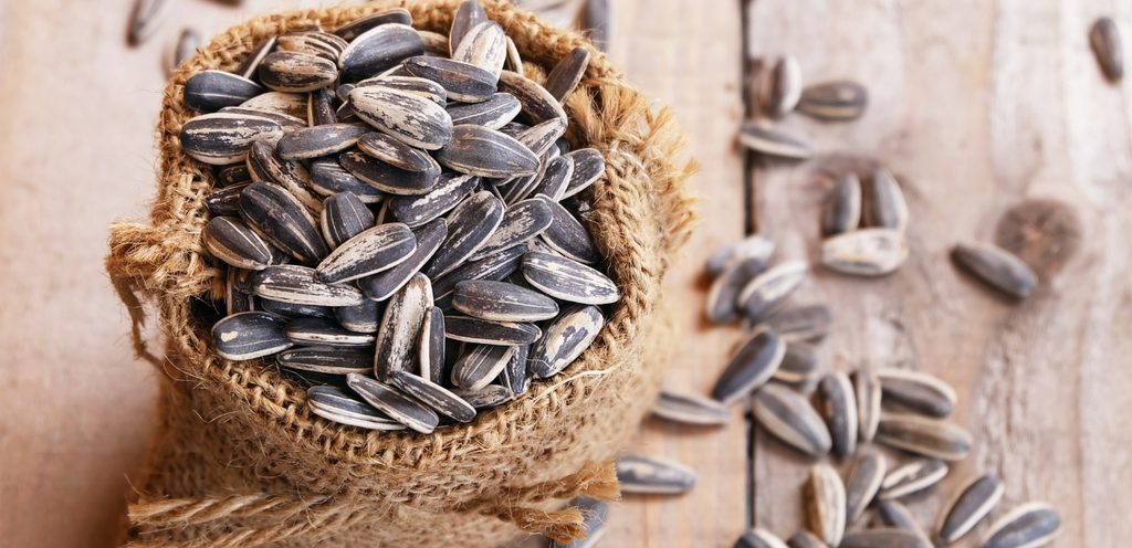 بذور دوار الشمس