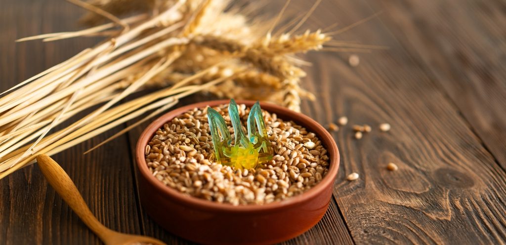 الجريش الصحي