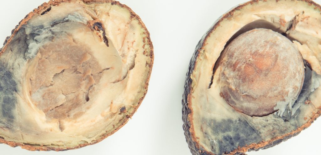 فساد الأفوكادو