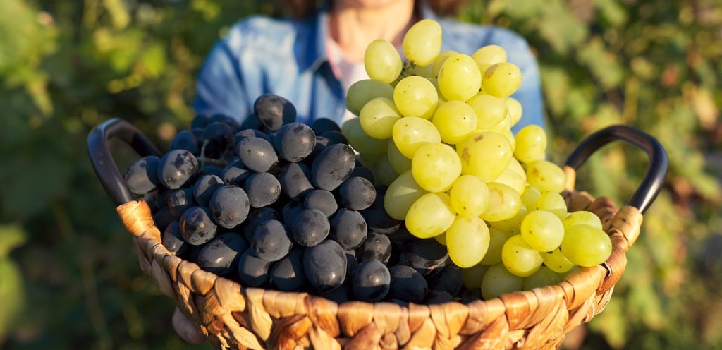 سلة من العنب
