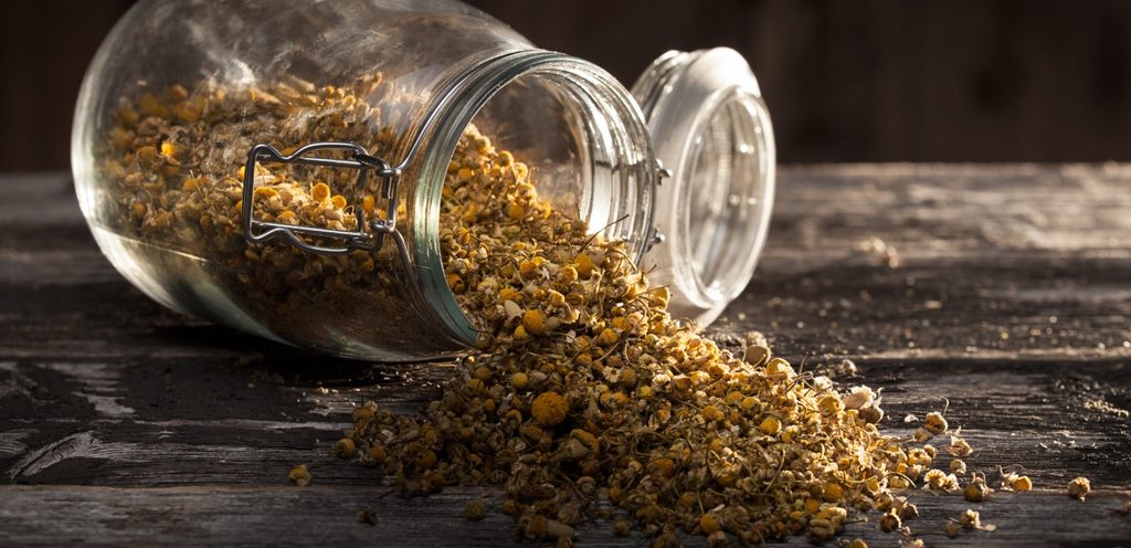 أزهار البابونج والشاي المجفف