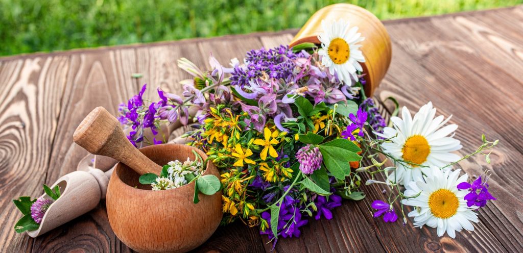 أعشاب صيفية لعلاج الصداع