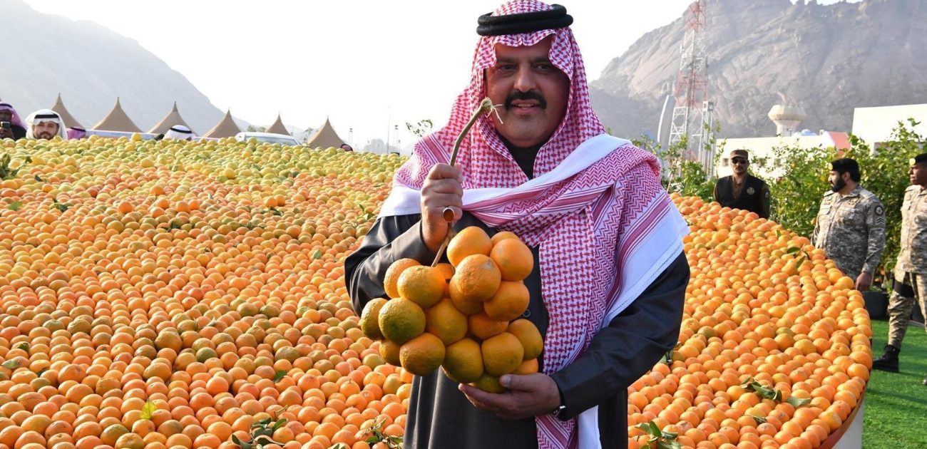 البرتقال في مهرجان حمضيات حائل 