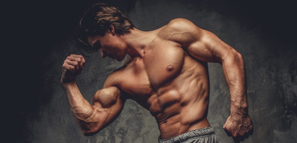 البروتينات وكمال الأجسام