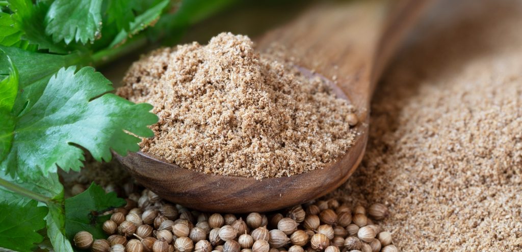 الكزبرة بأنواعها