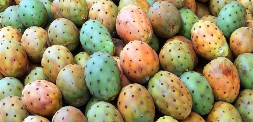 برشومي الطائف