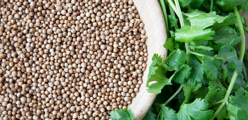 فوائد الكزبرة