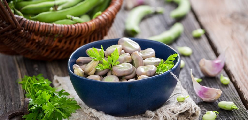 طبق من الفول المسلوق