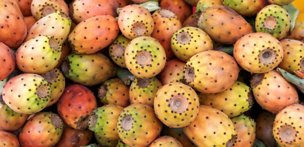 حبات من الصبار