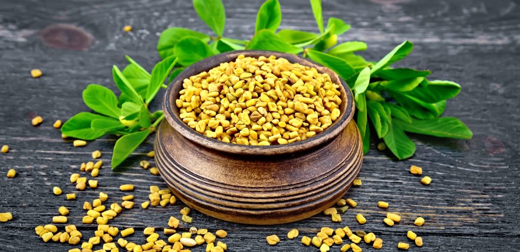 أغصان وبذور الحلبة