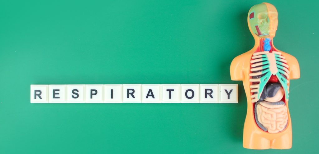 الجهاز التنفسي