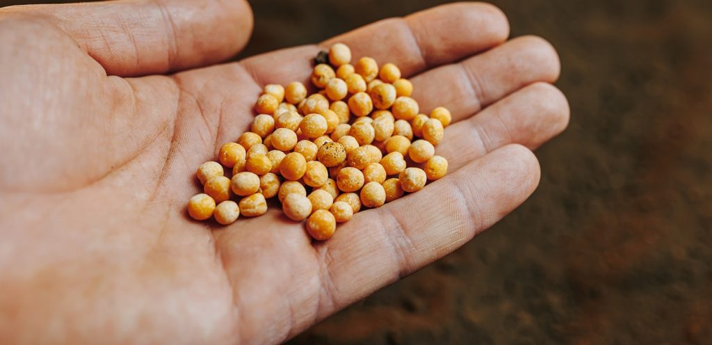 تجنبوا أضراره