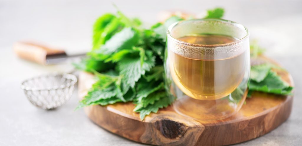 شاي الكزبرة