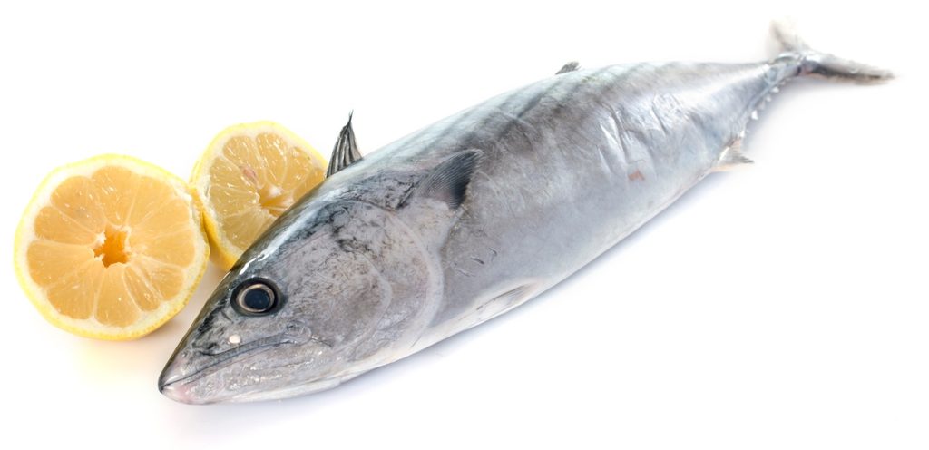 فوائد السمك