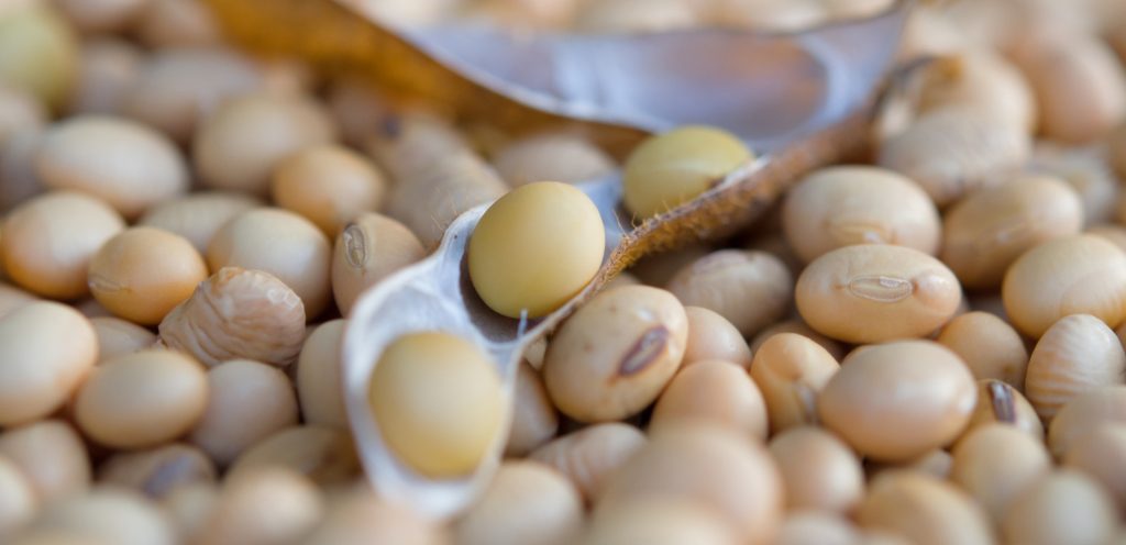 كيفية تناول فول الصويا