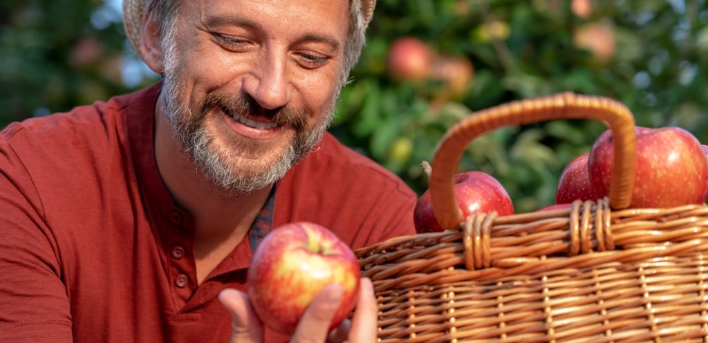 رجل يقطف التفاح