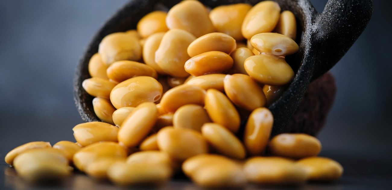 كوب من الترمس 