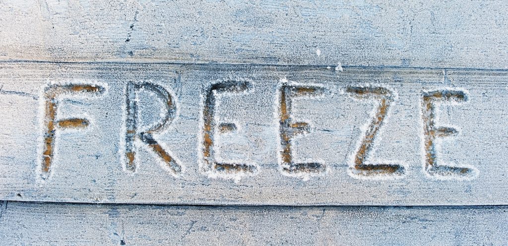 التجميد السليم