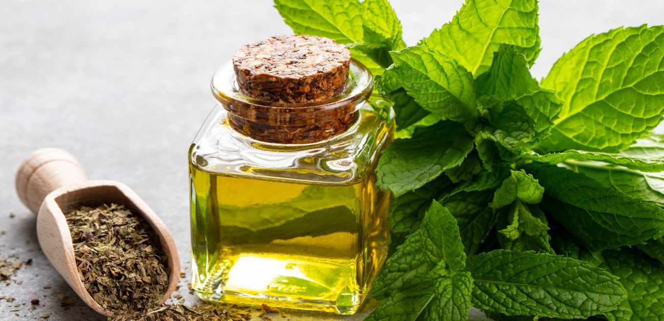 زيت النعناع 