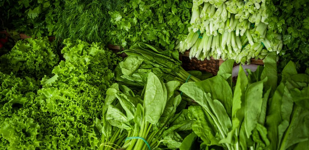 ورقيات خضراء