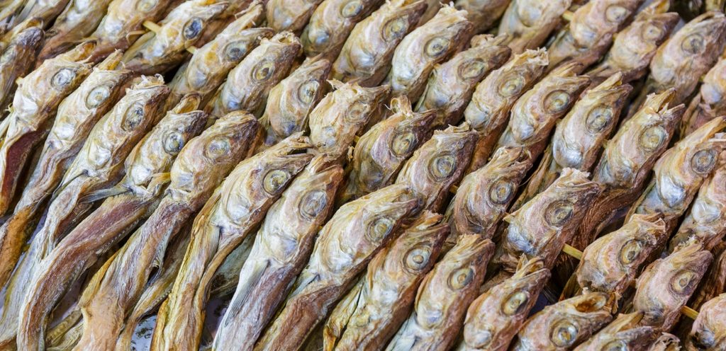 أسماك البوري المجففة