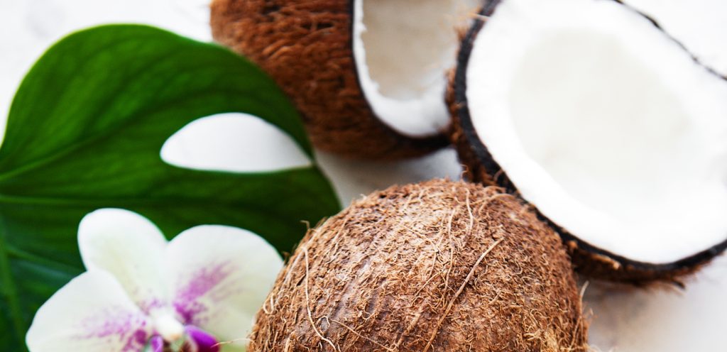 فوائد جوز الهند