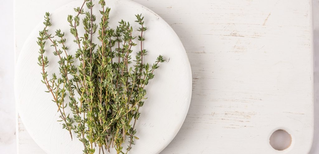 باقة من الزعتر