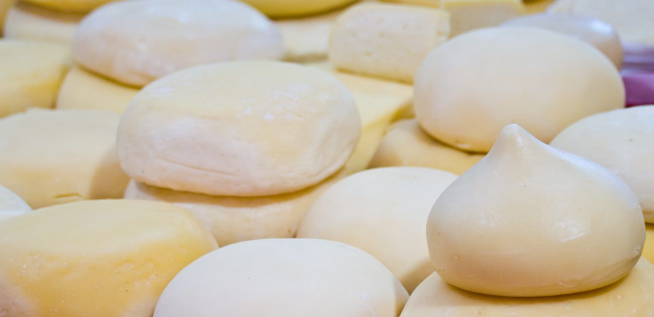 صناعة الجبن