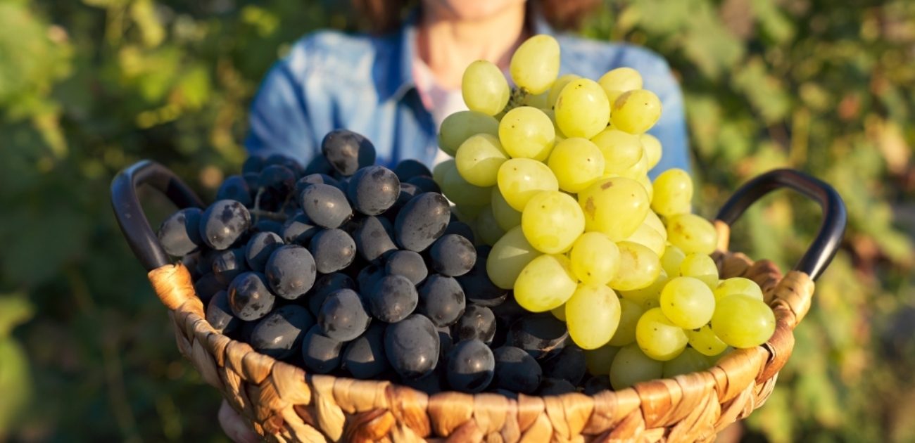 كيفية غسل العنب لإزالة الأوساخ والمبيدات الحشرية وفقًا لخبراء تغذية!
