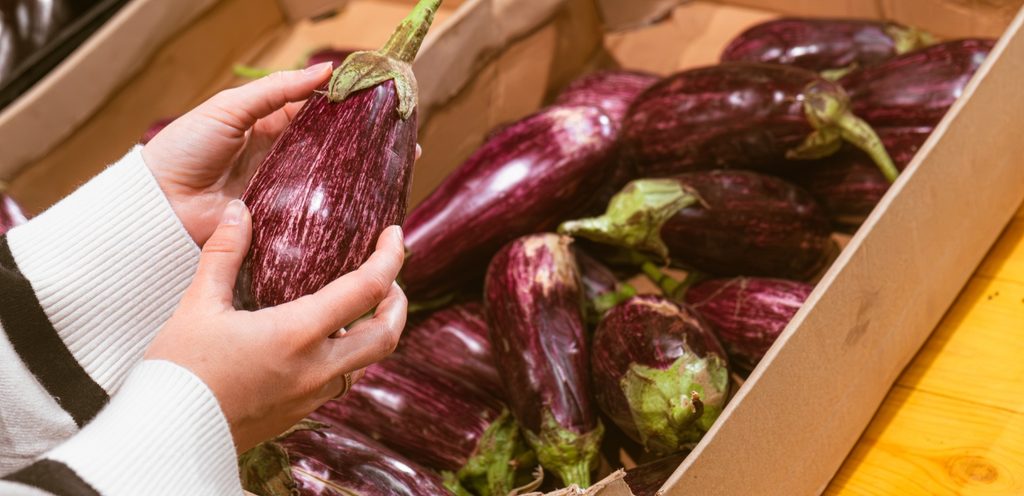 اختيار الباذنجان