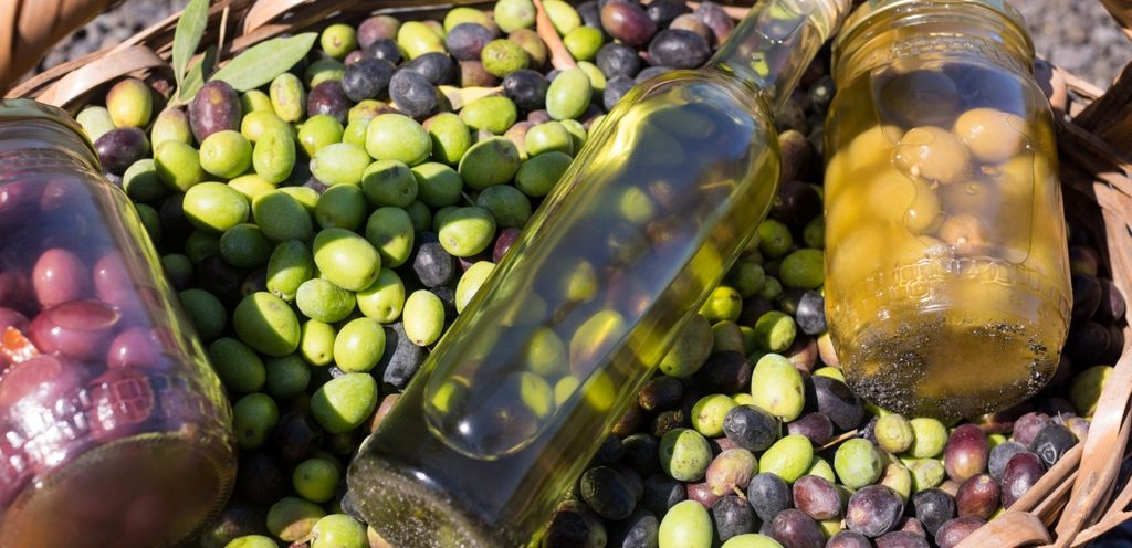 الزيتون بكل مراحله